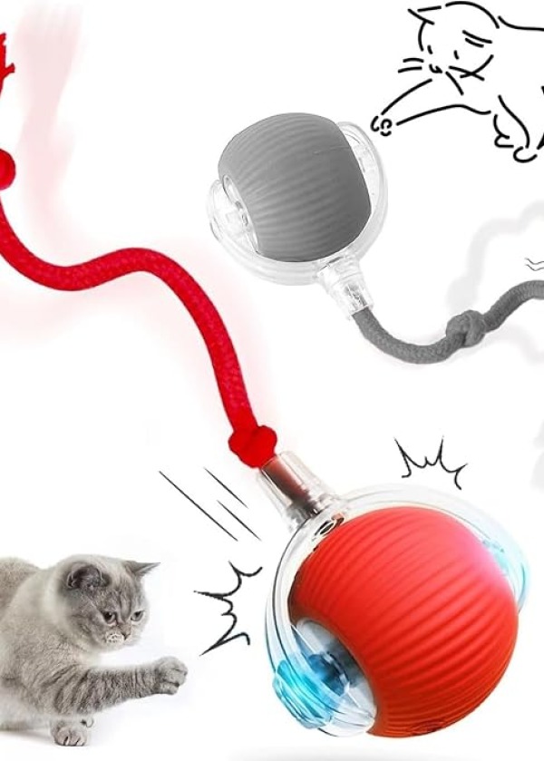 3 modlu hareketli kedi oyuncağı